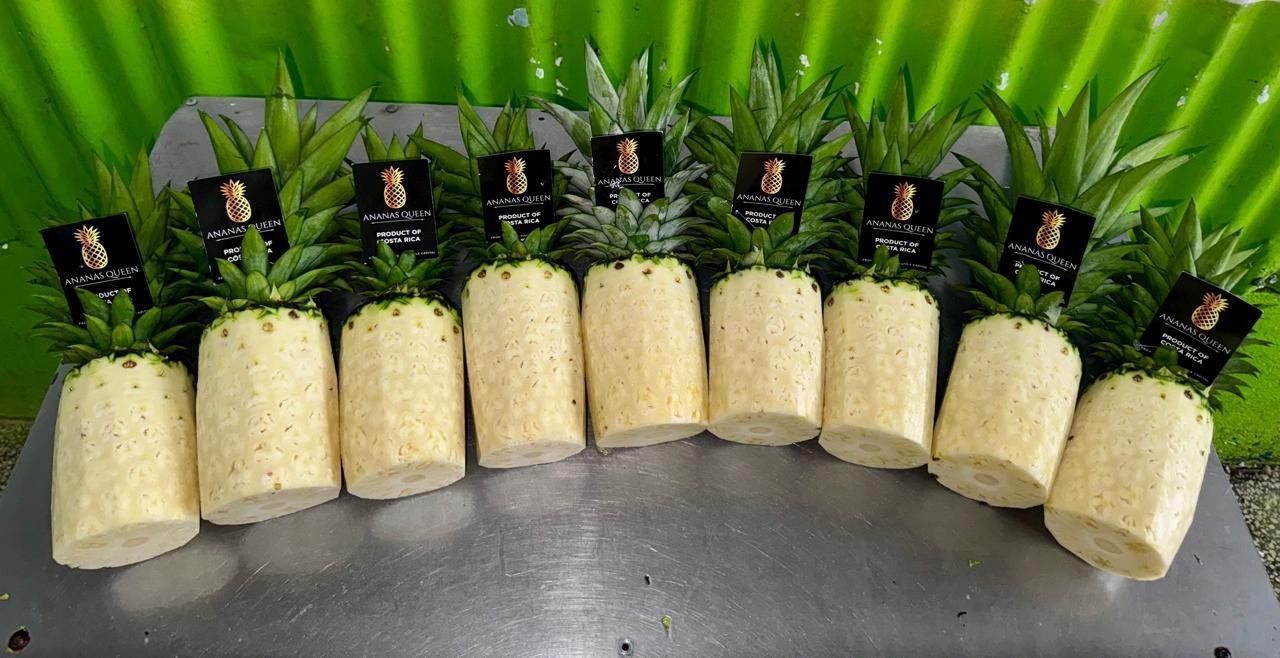 Fresh Piña