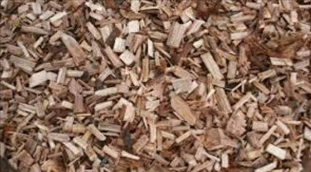 Eucalyptus Chips / Pinnus Chips