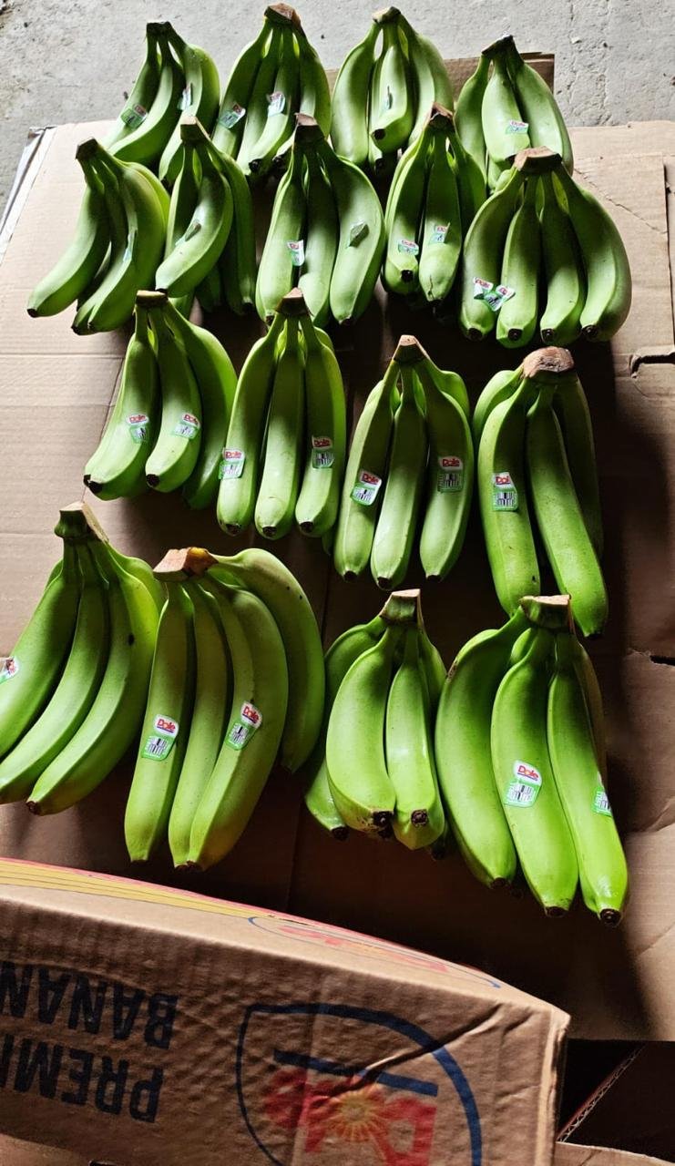 Fresh Banano Cavendish de Costa Rica .