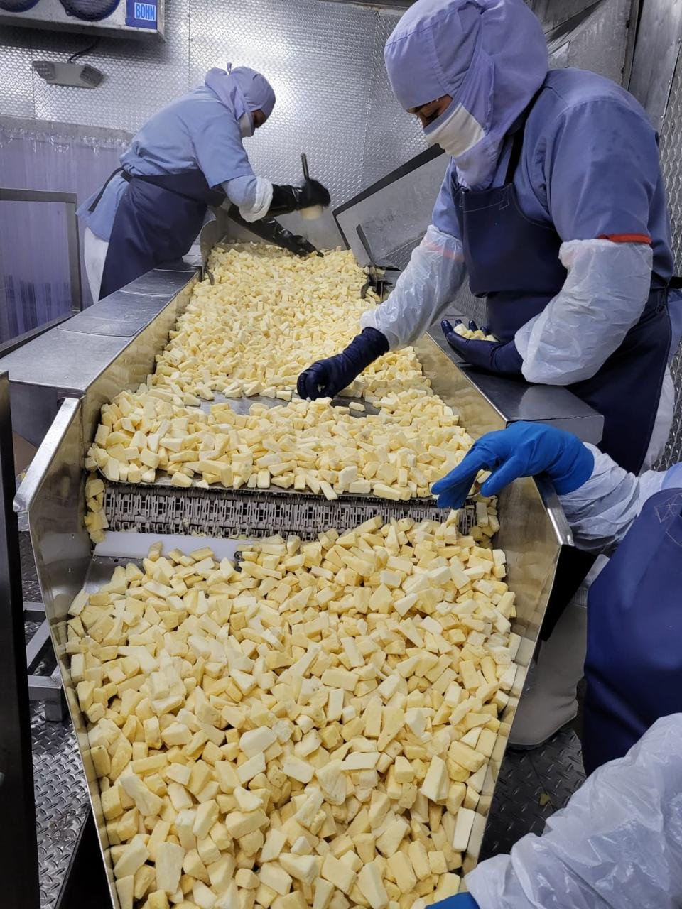 Fresh Piña premium cortada y congelada