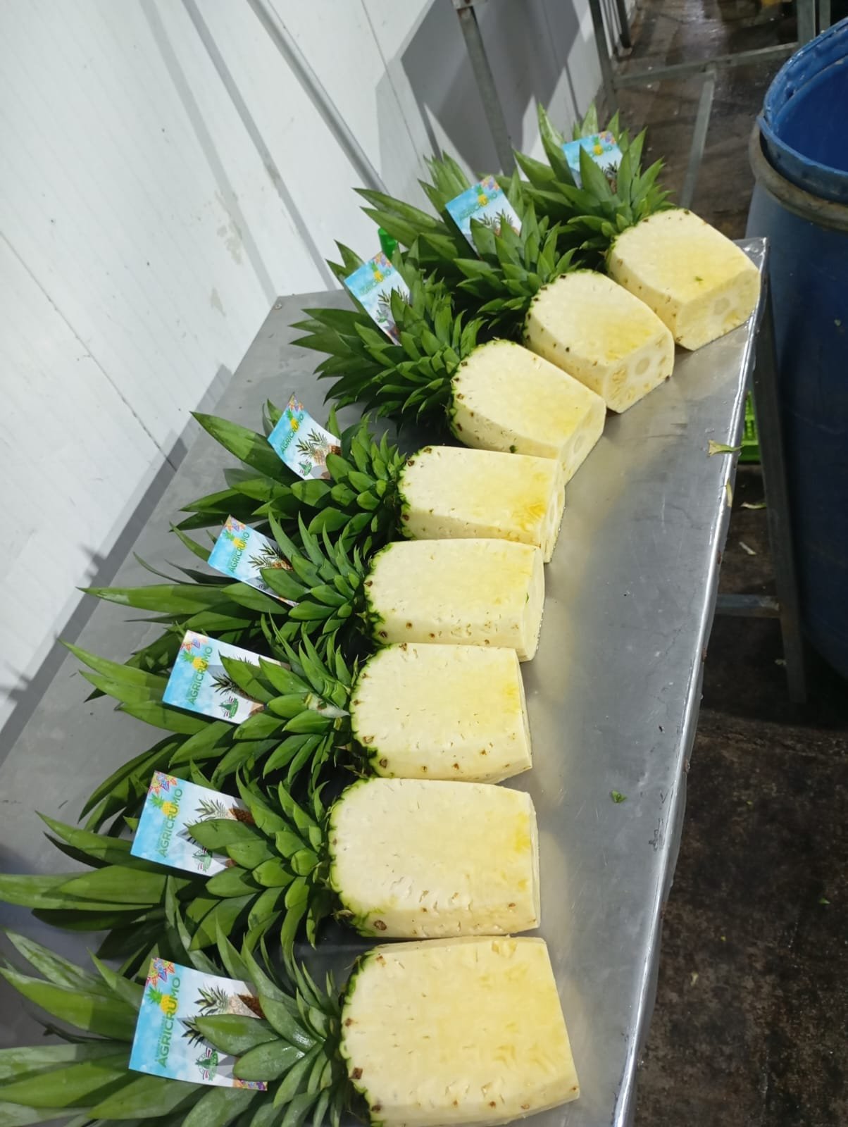 Fresh Piña