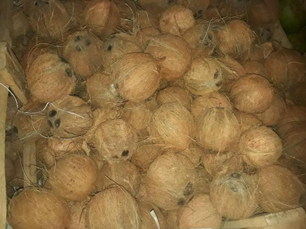 Dried Coconut Box   6 KG