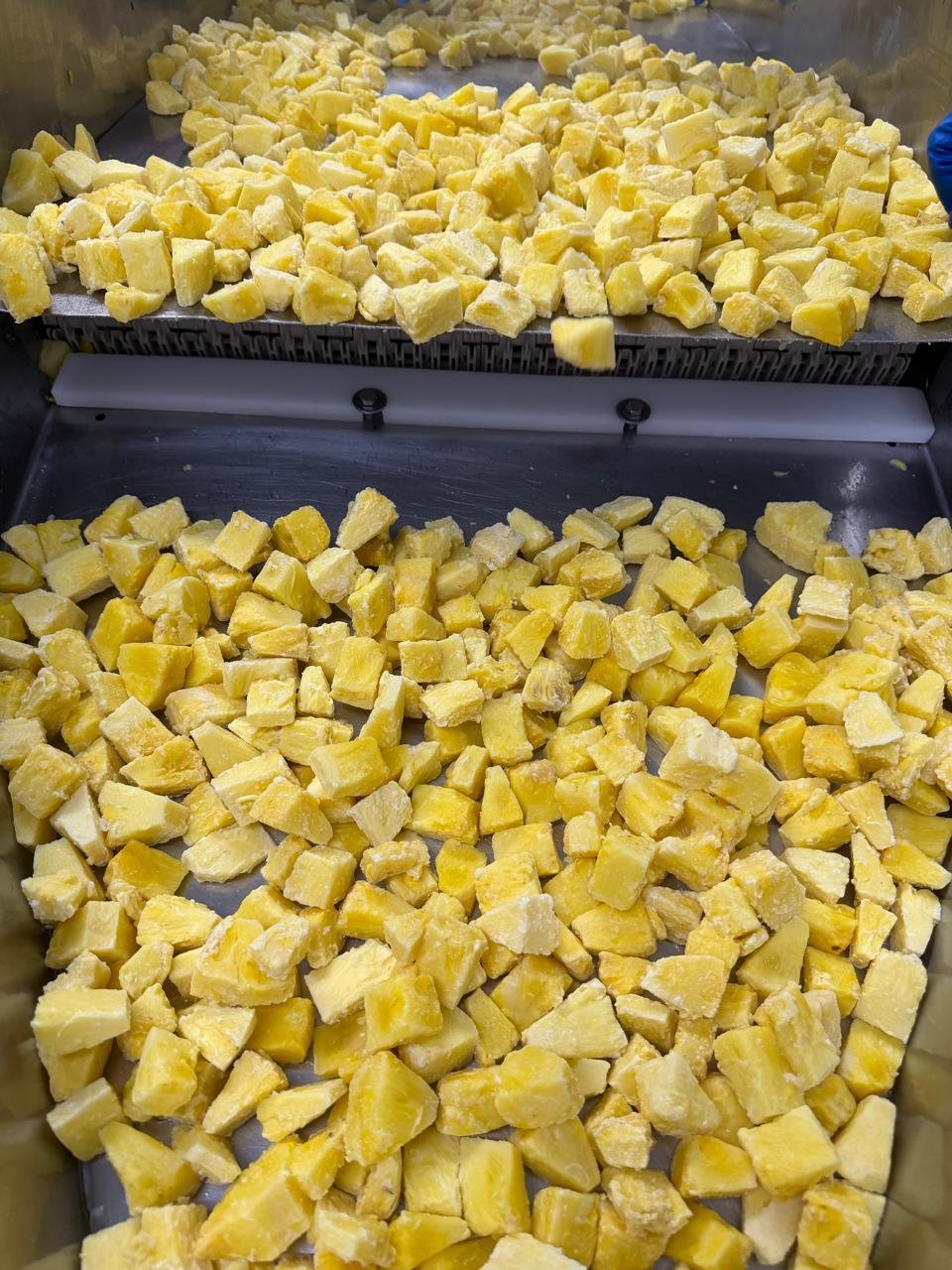 Fresh Piña premium cortada y congelada