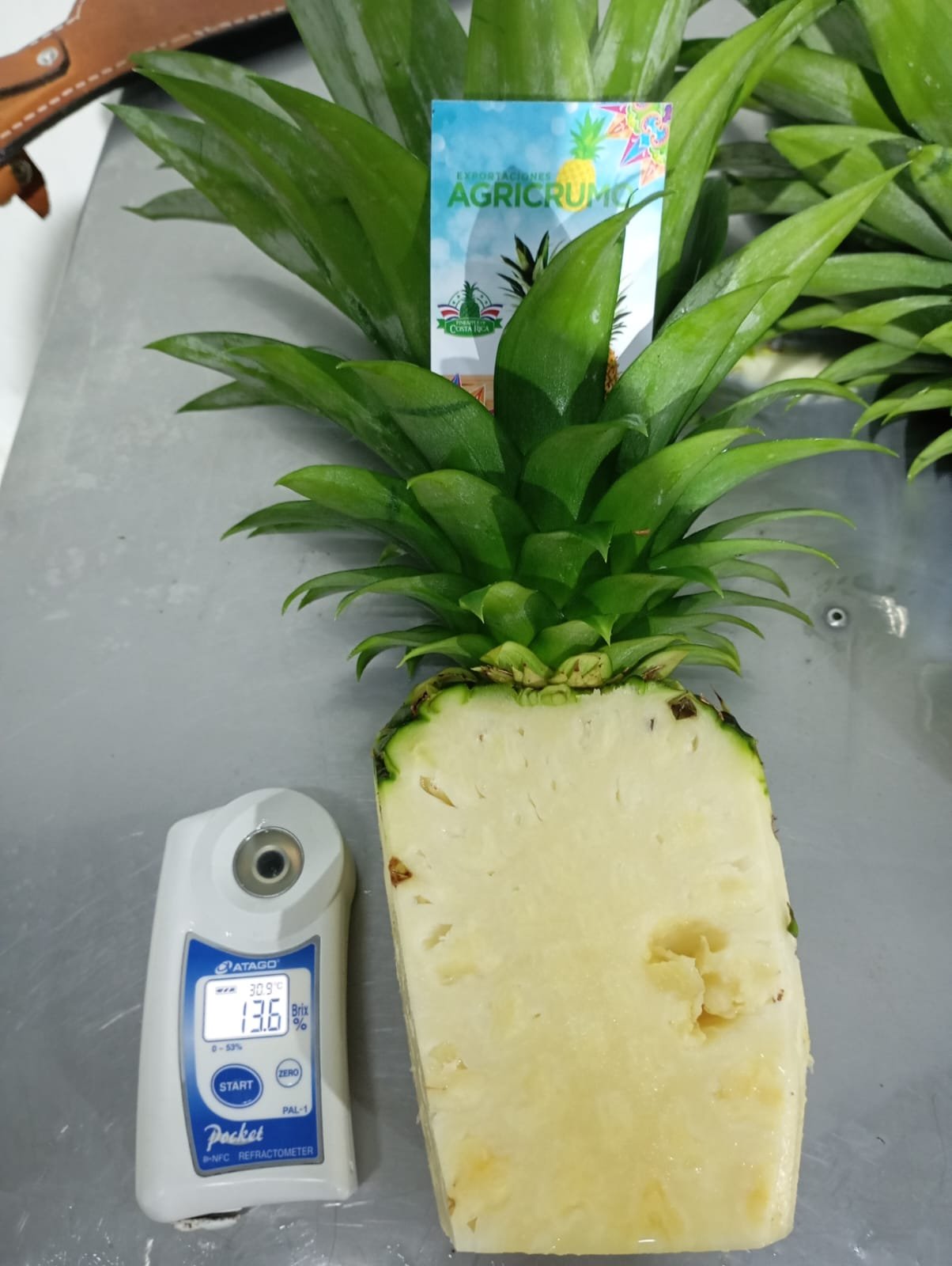 Fresh Piña