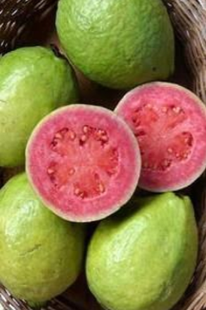 Red Guava Box 4 kg