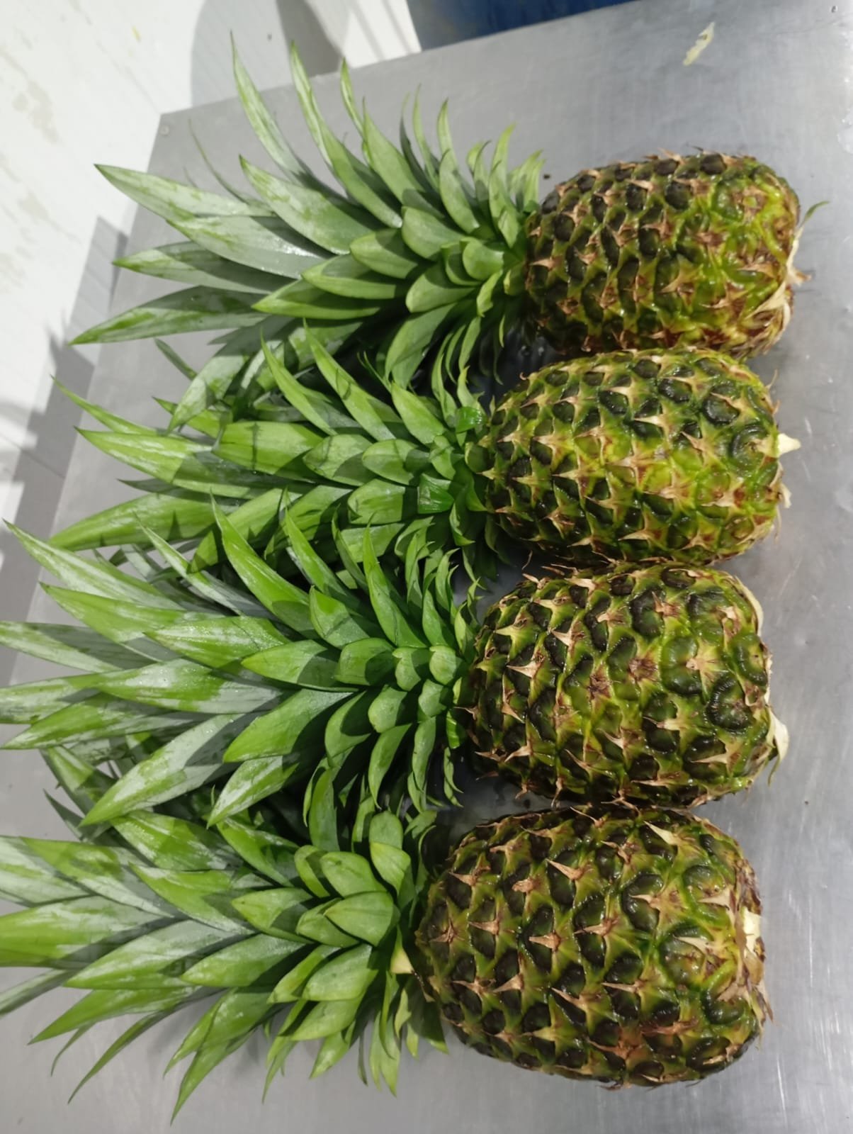 Fresh Piña