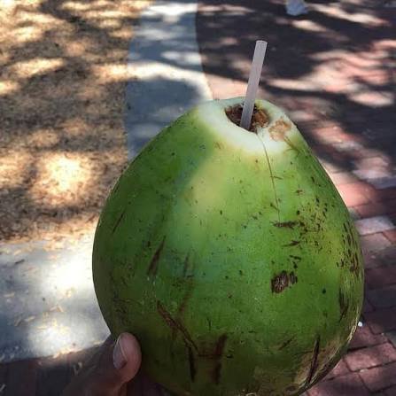 Pipa Fría