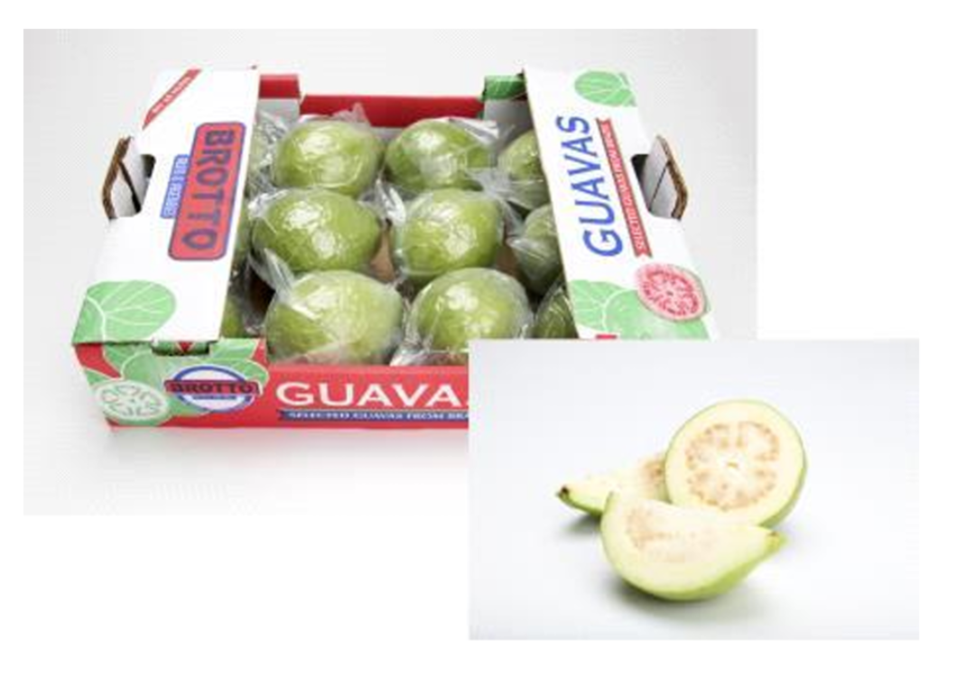 White Guava Box 4kg