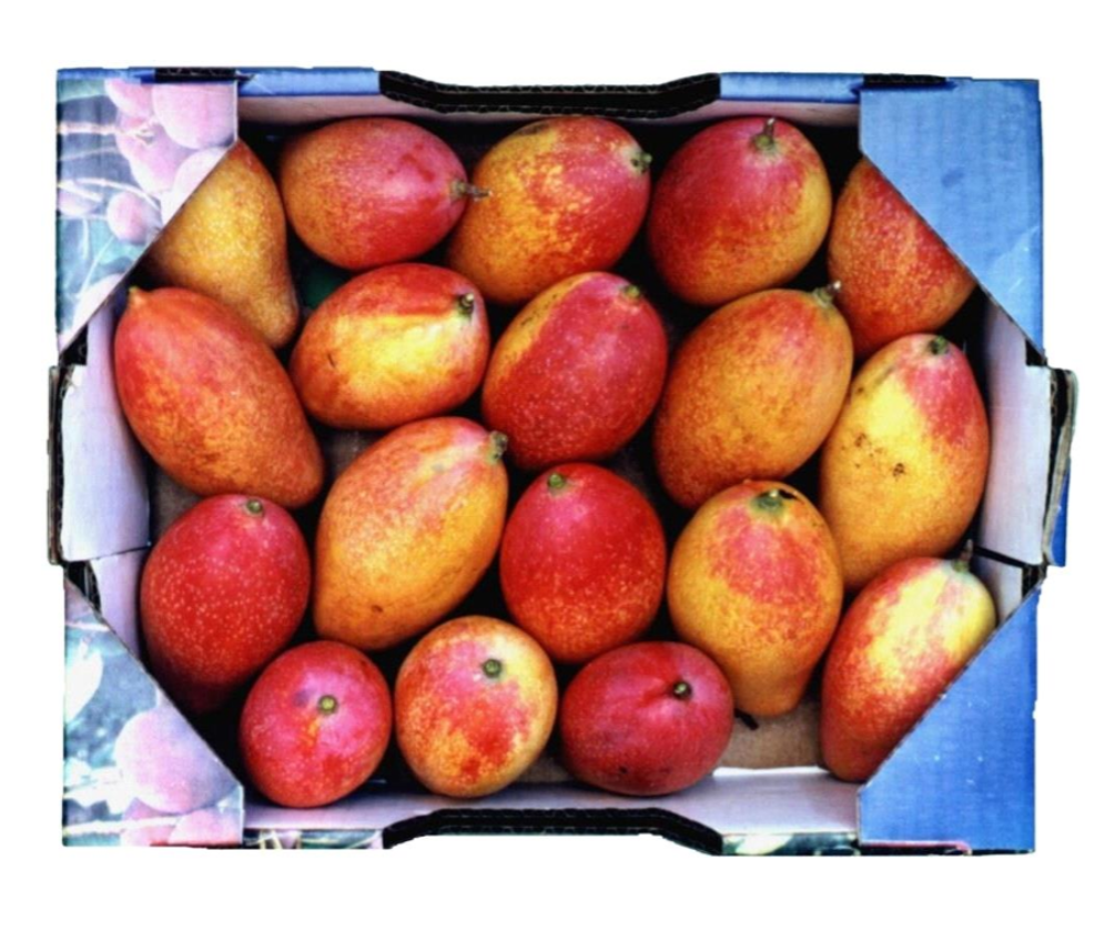 Mango box 4.5 KG