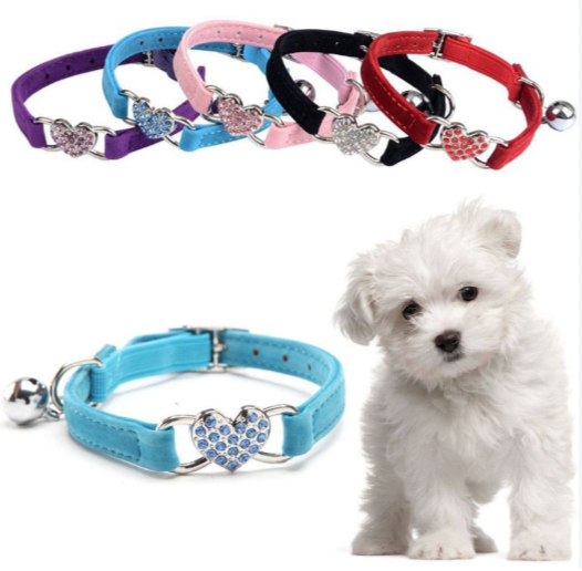 Collar ajustable para perro, talla M (cuello de 35 a 50 cm)