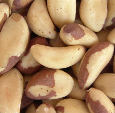 Brazil Nuts