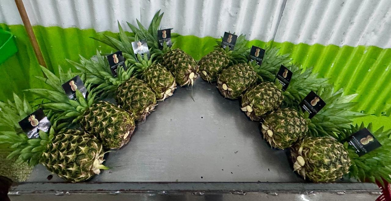 Fresh Piña