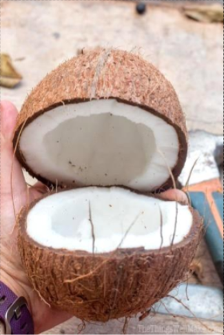 Dried Coconut Box   6 KG