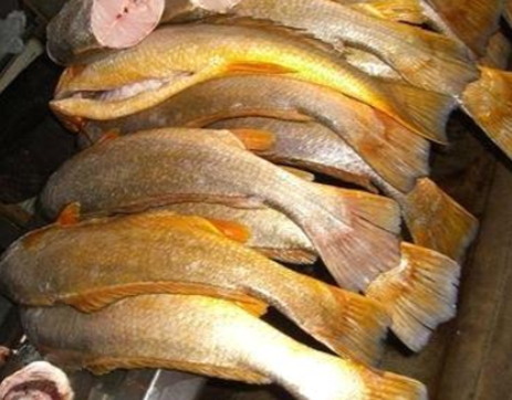 Seven Grude / Seven Belo Fish 250 Grams UP