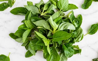 Albahaca Genovesa - 50g