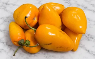 Chile Rocoto - 200g