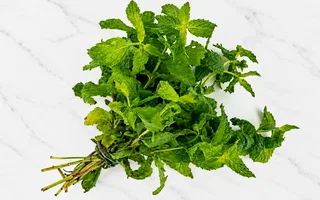 Hierbabuena fresca - 30g