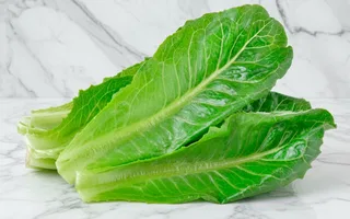 Hojas de lechuga romana-100g