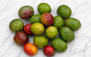 Jocotes orgánicos (kg)