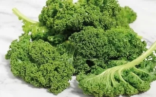 Kale rizado rollo - 100g