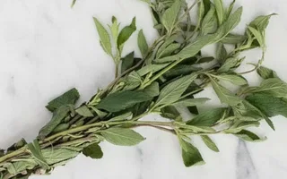 Orégano Libre de Pesticidas