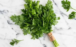 Perejil italiano - 70g
