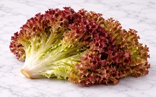 Lechuga lollo rosa orgánica (unidad)