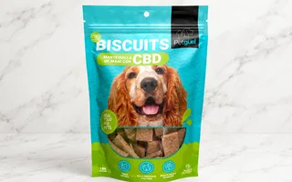 Petgüel - Biscuits de CBD para perros
