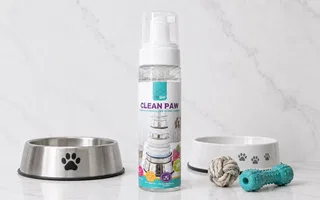 Clean Paw Limpiador de Tazas y Juguetes Petgüel - 240ml