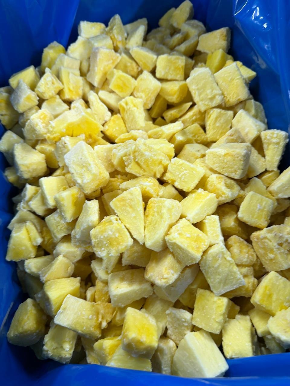 Fresh Piña premium cortada y congelada