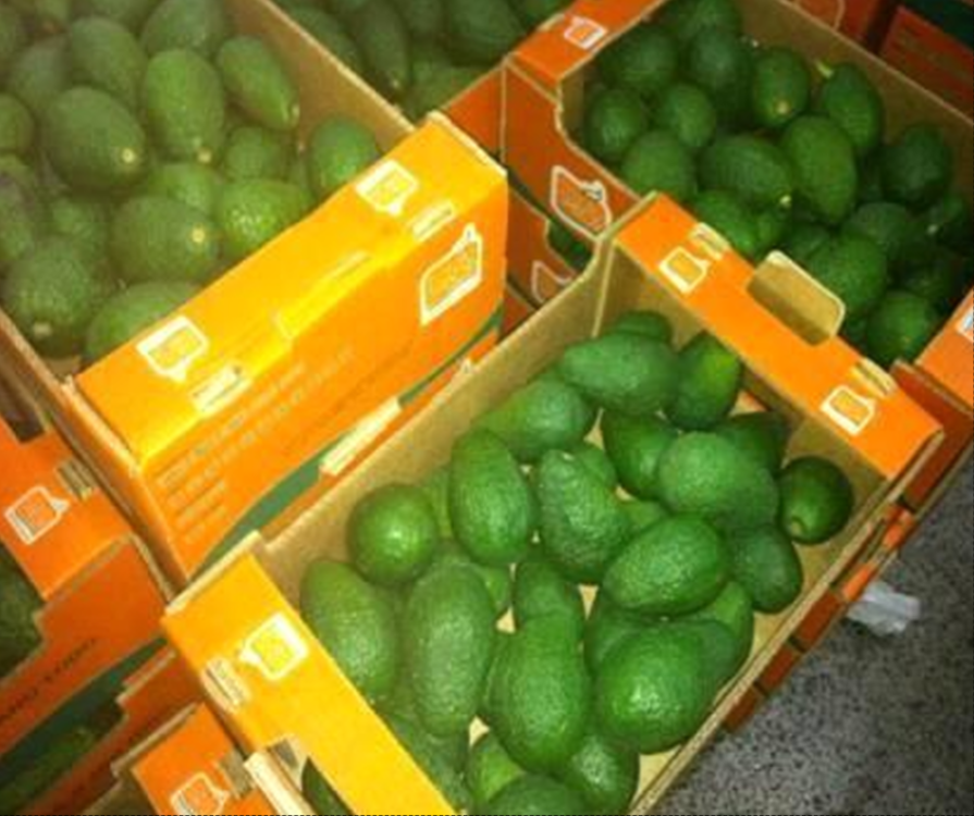 Avocado box