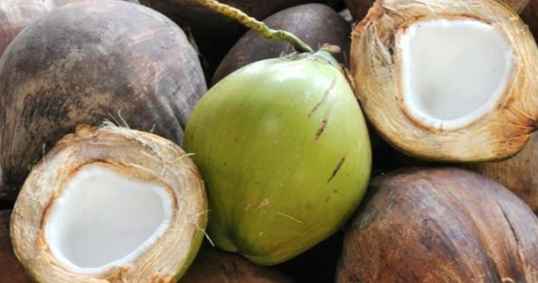 Green Coconut Bag 30 KG
